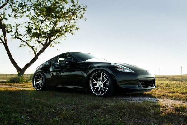 Auto Coche Nissan 370Z en el fondo de la naturaleza y la madera