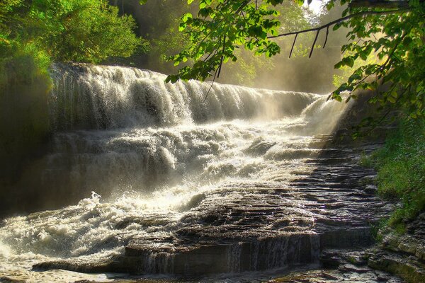 Una pequeña cascada en medio del parque