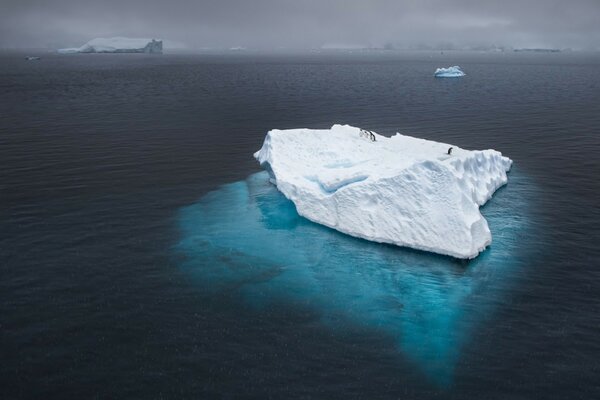 Iceberg dans l océan. Bloc de glace