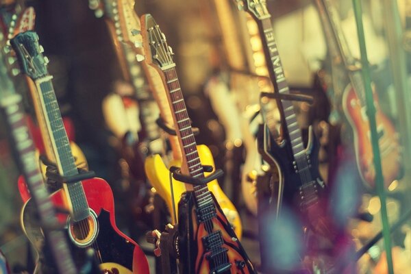 Gran selección de guitarras en la tienda de música