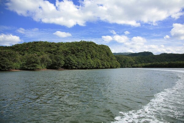 La isla en medio del mar está cubierta de densa vegetación