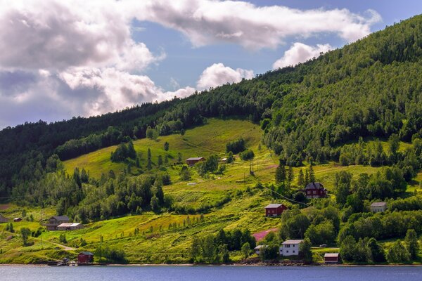 Green hills. Nature in Norway