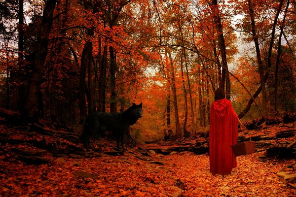 Le petit Chaperon rouge et le loup noir