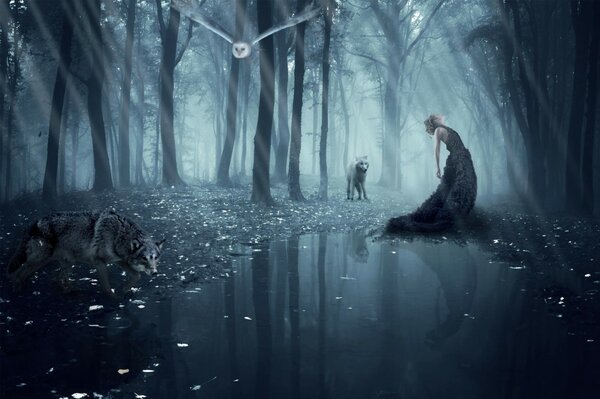 A girl wandering in a dark forest with wolves