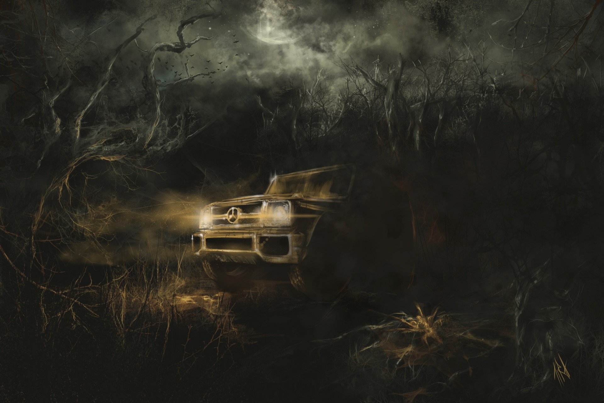 night art vehicles darkness forest