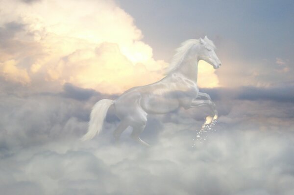 The ghost of a horse in the clouds in the sky