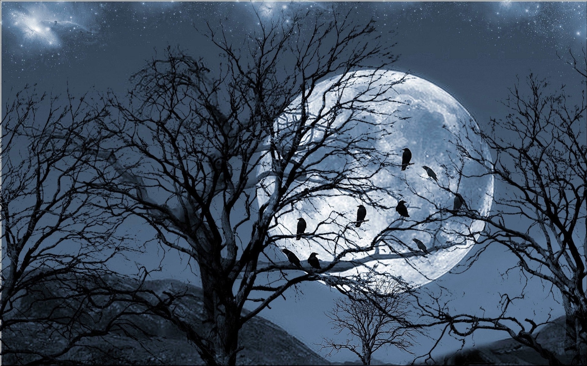 arbres lune