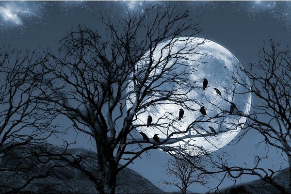 Los pájaros en el árbol ven la Luna