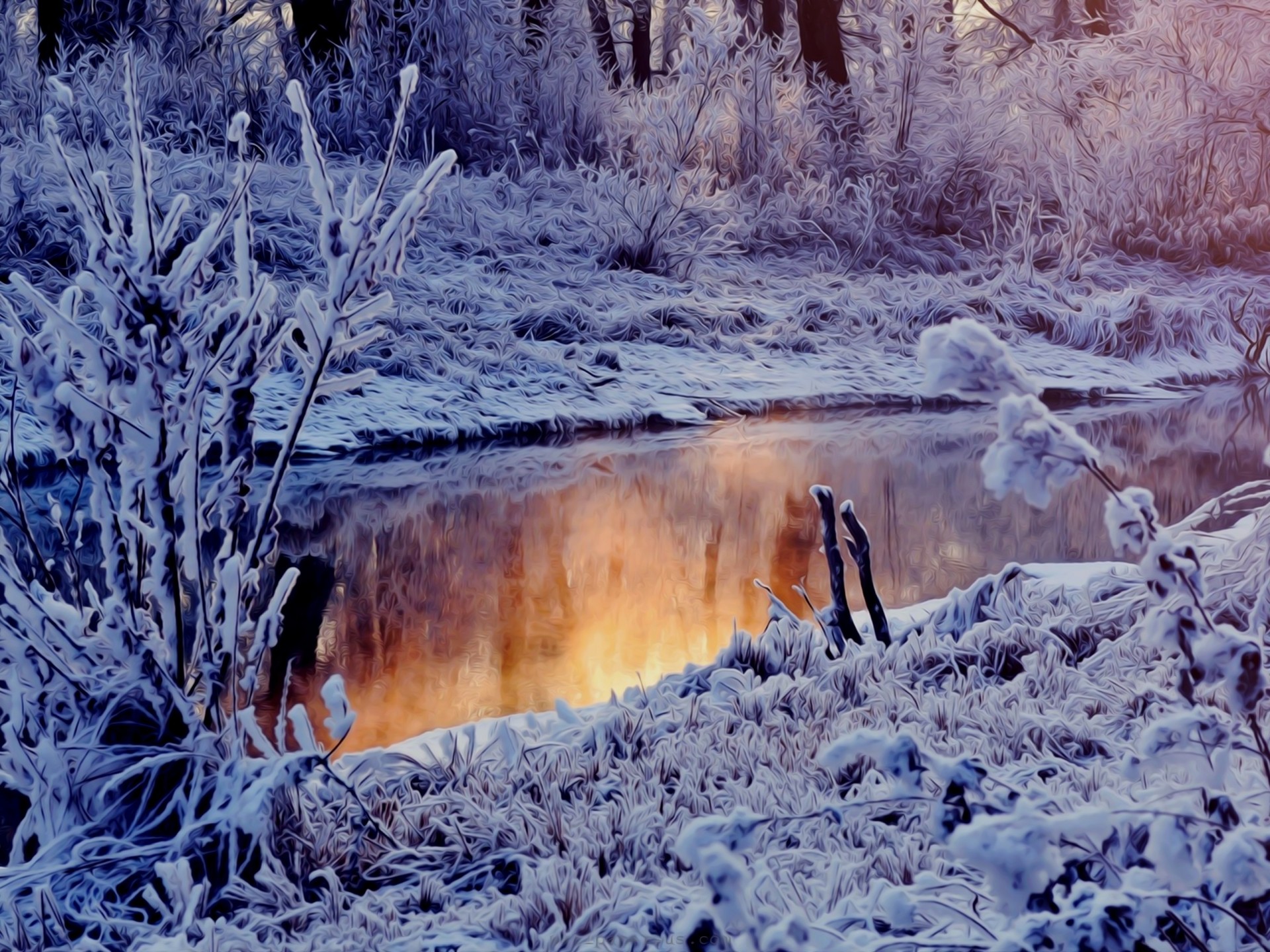 winter forest river