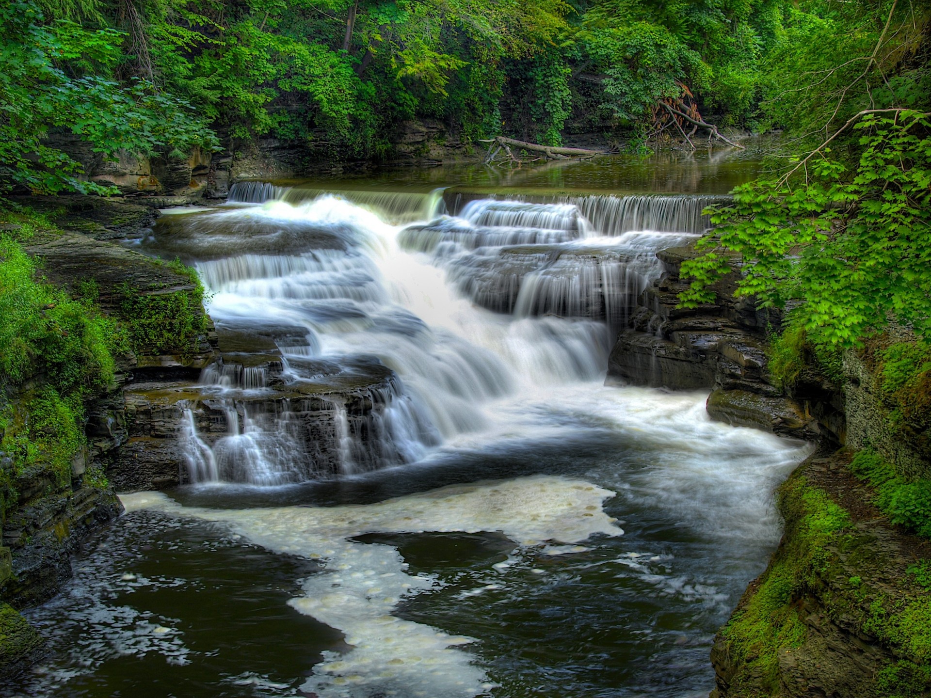 cascada río naturaleza