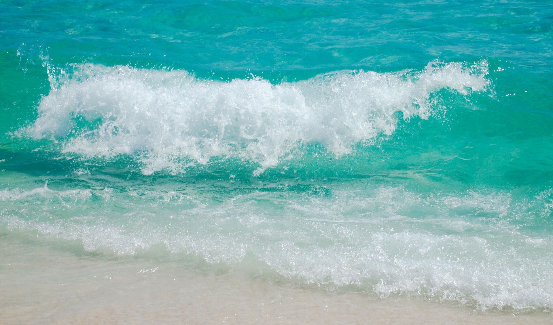 beach shore foam wave sea sand