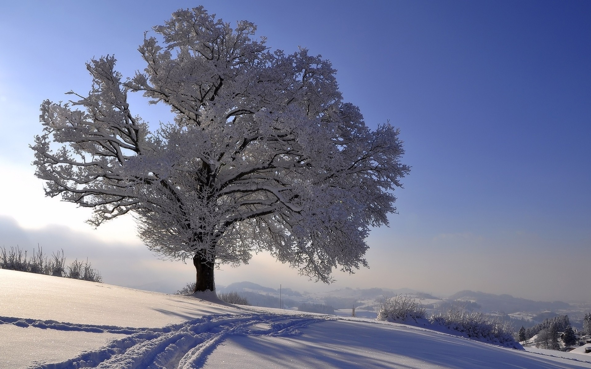 landschaft bäume frost schnee winter horizont