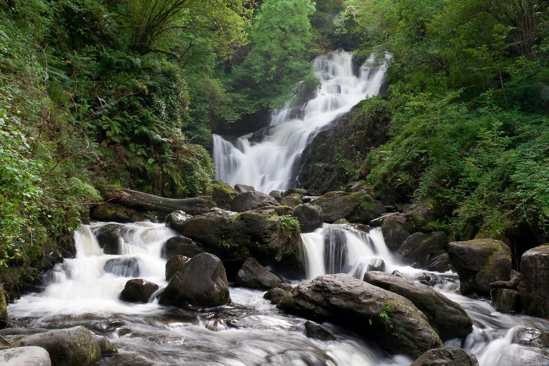 steine landschaft wasserfall grün bäume wald