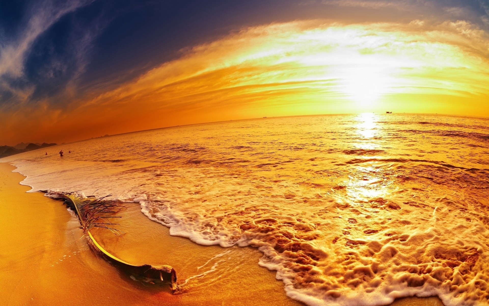 plage orange coucher de soleil côte panorama nuit mer branche sable