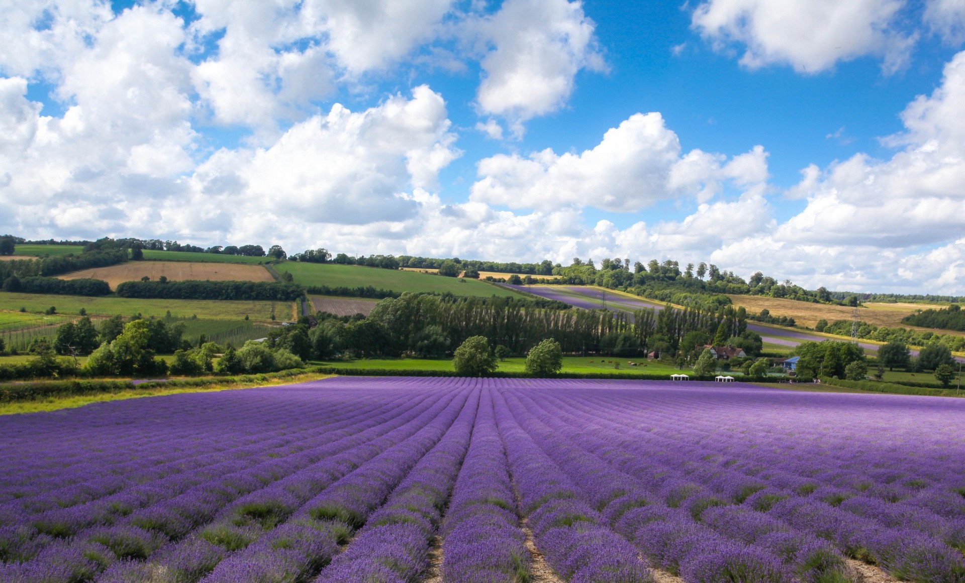 tuscany england kent shoreham clouds lilac