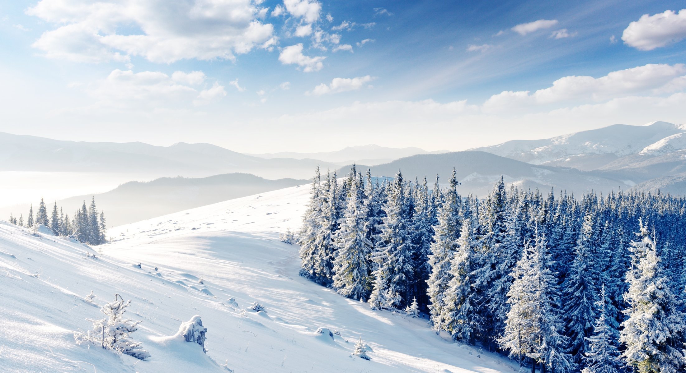 colline neve nuvole alberi di natale inverno