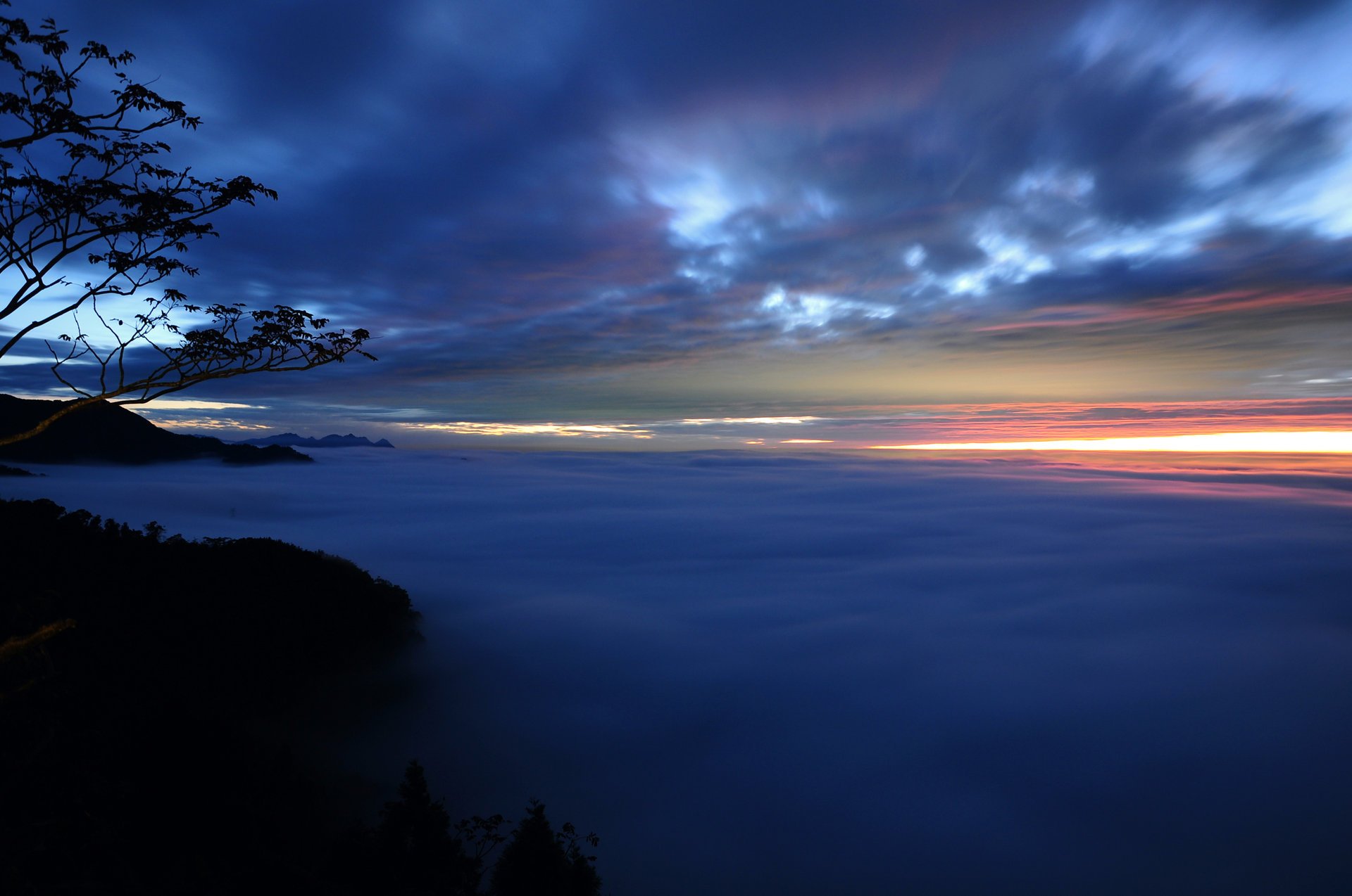 soir coucher de soleil brouillard arbres branches brume nuages ciel