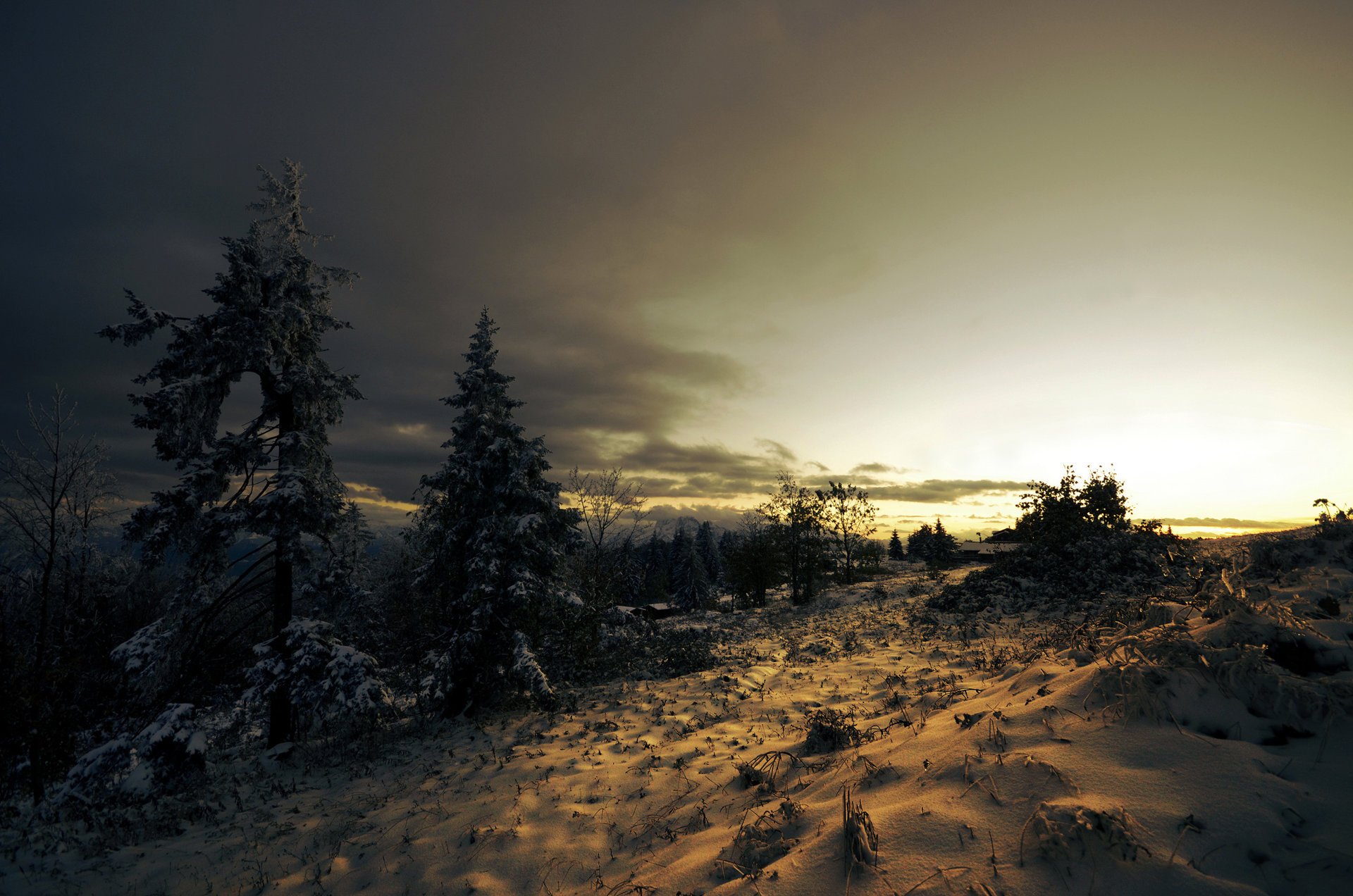 nadelbäume schnee wolken winter bäume fichte sonnenuntergang