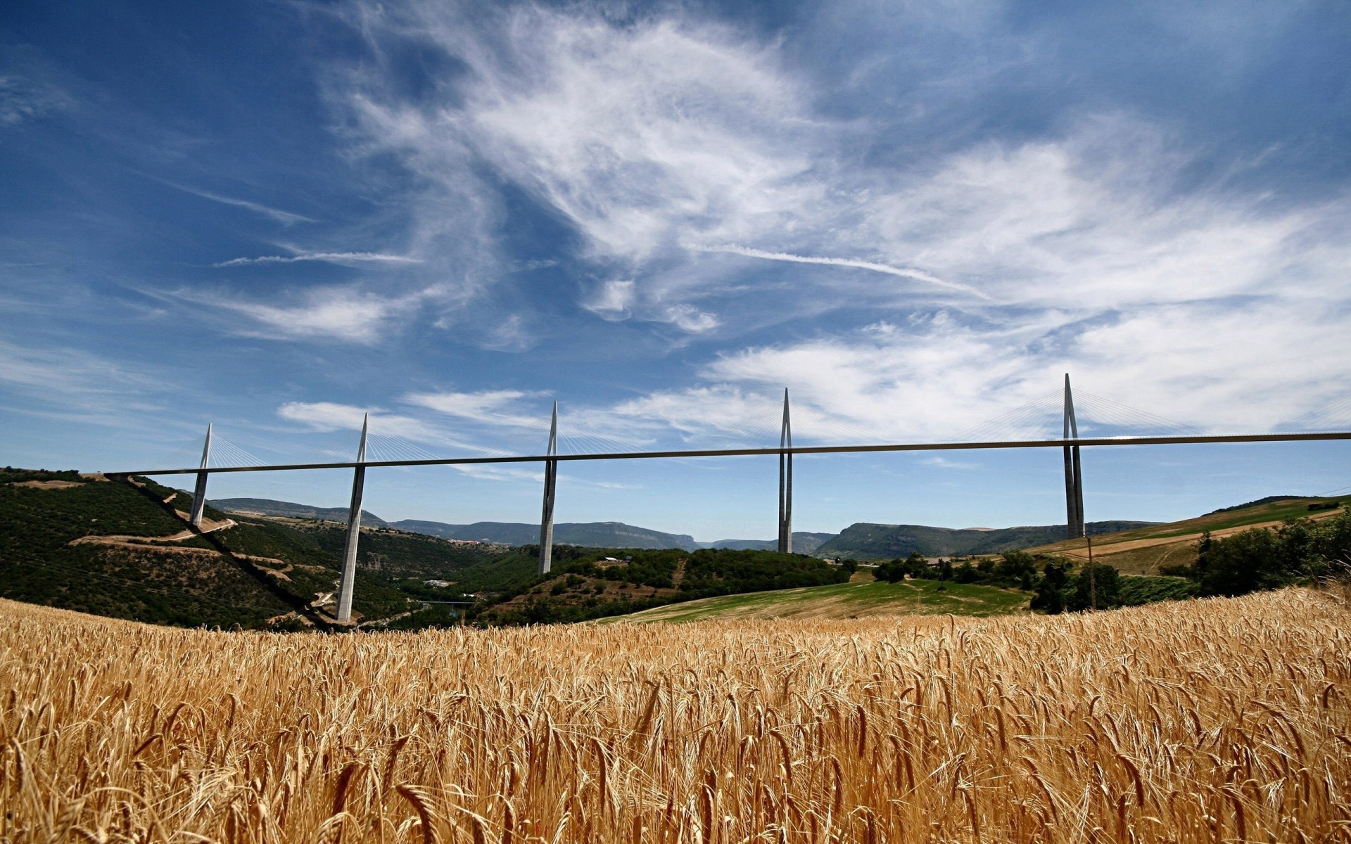 rye france wheat the field bridge