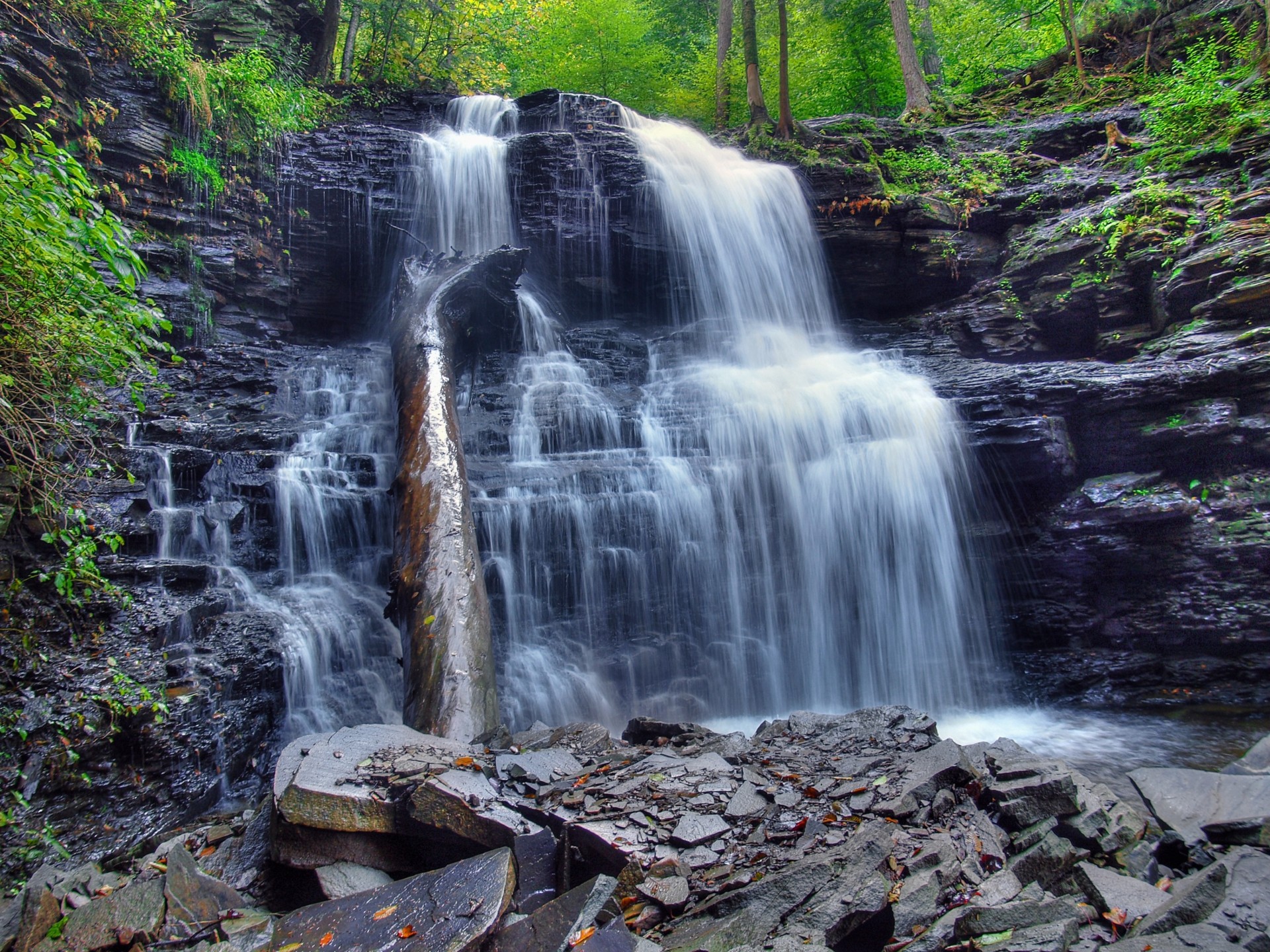 alberi natura cascata rocce cascata