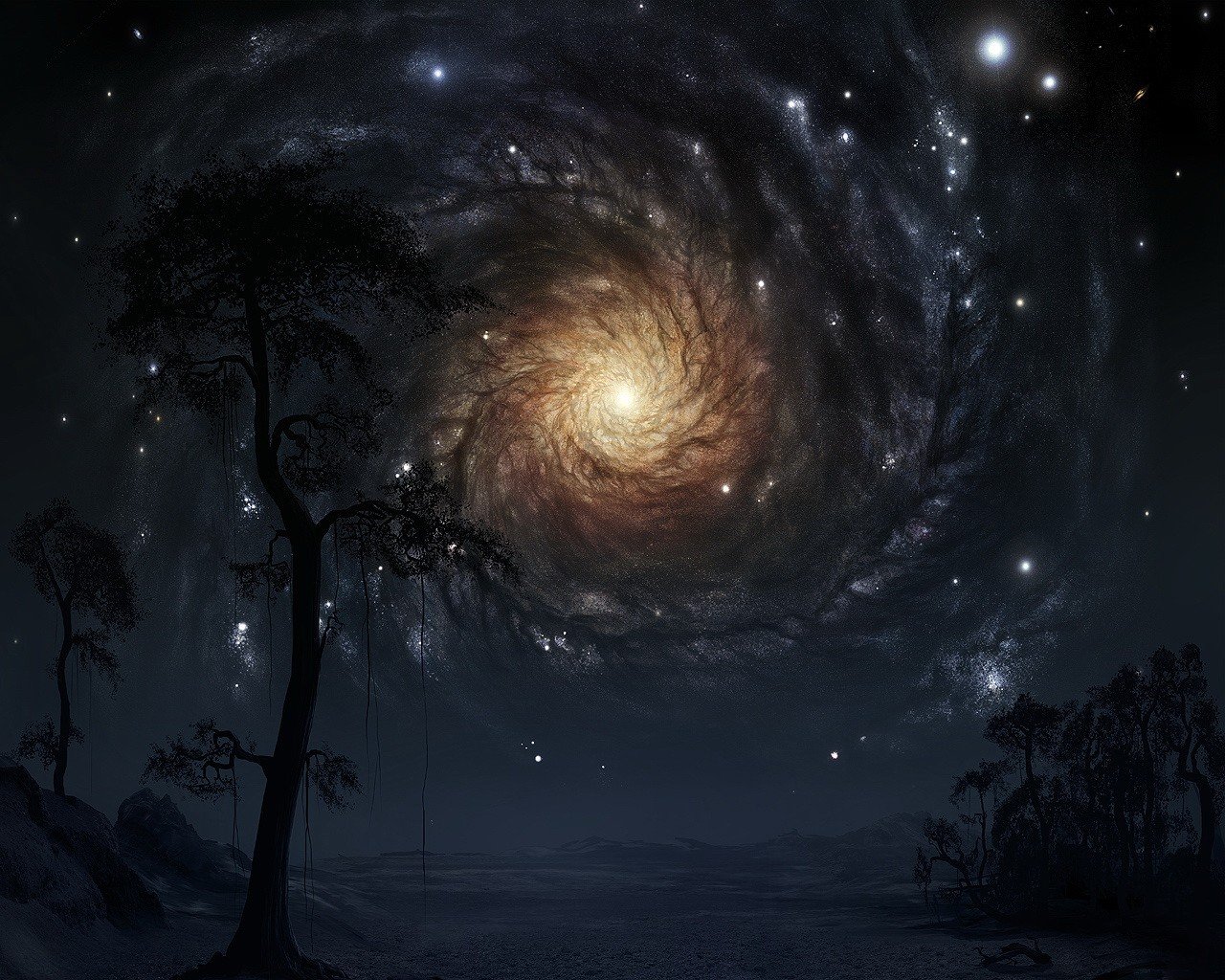 tree star galaxy