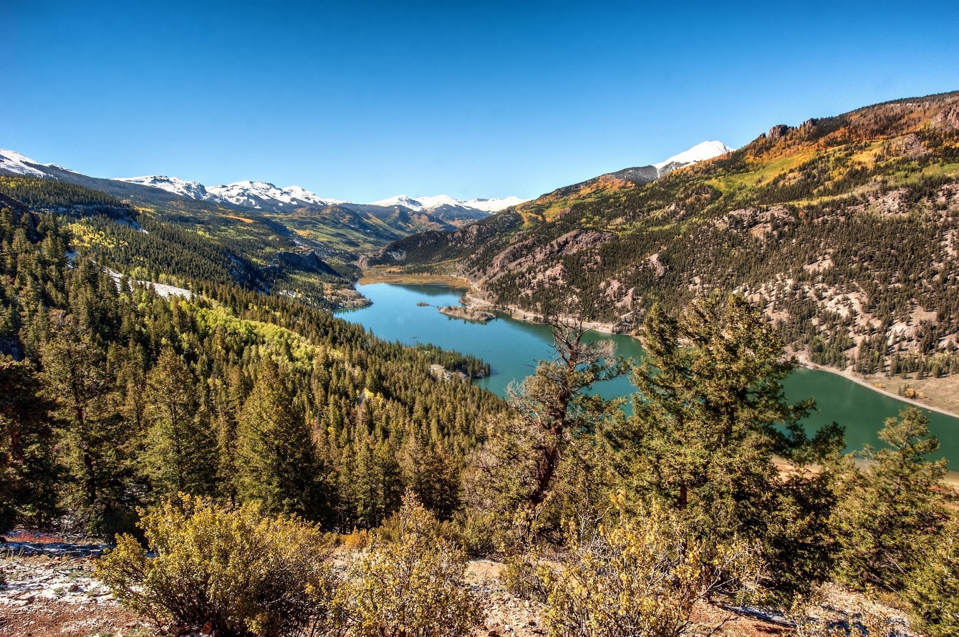 paesaggio foresta colorado montagne rocciose montagne