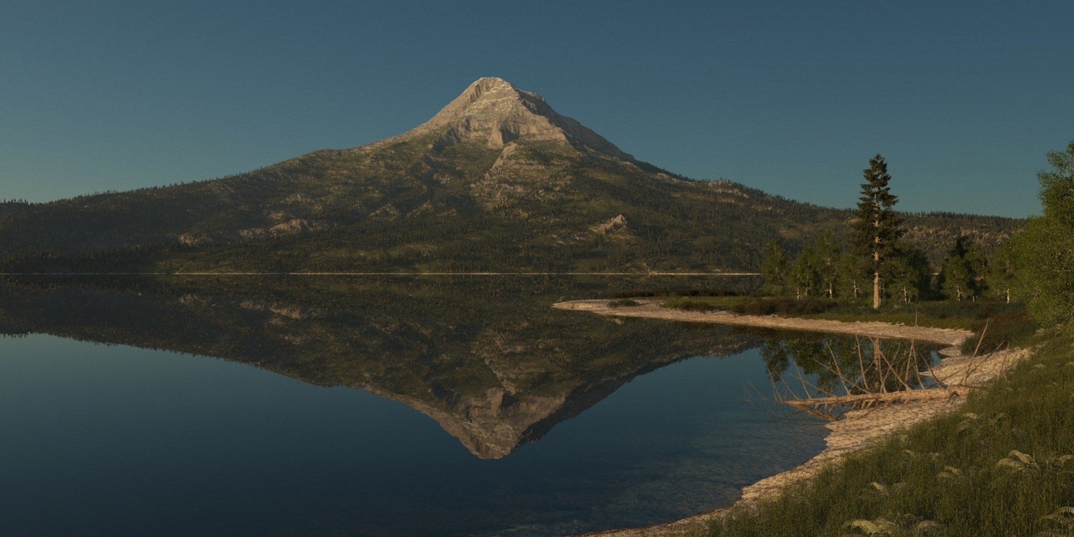 and dry green tree reflection lake grass nature mountain surface of