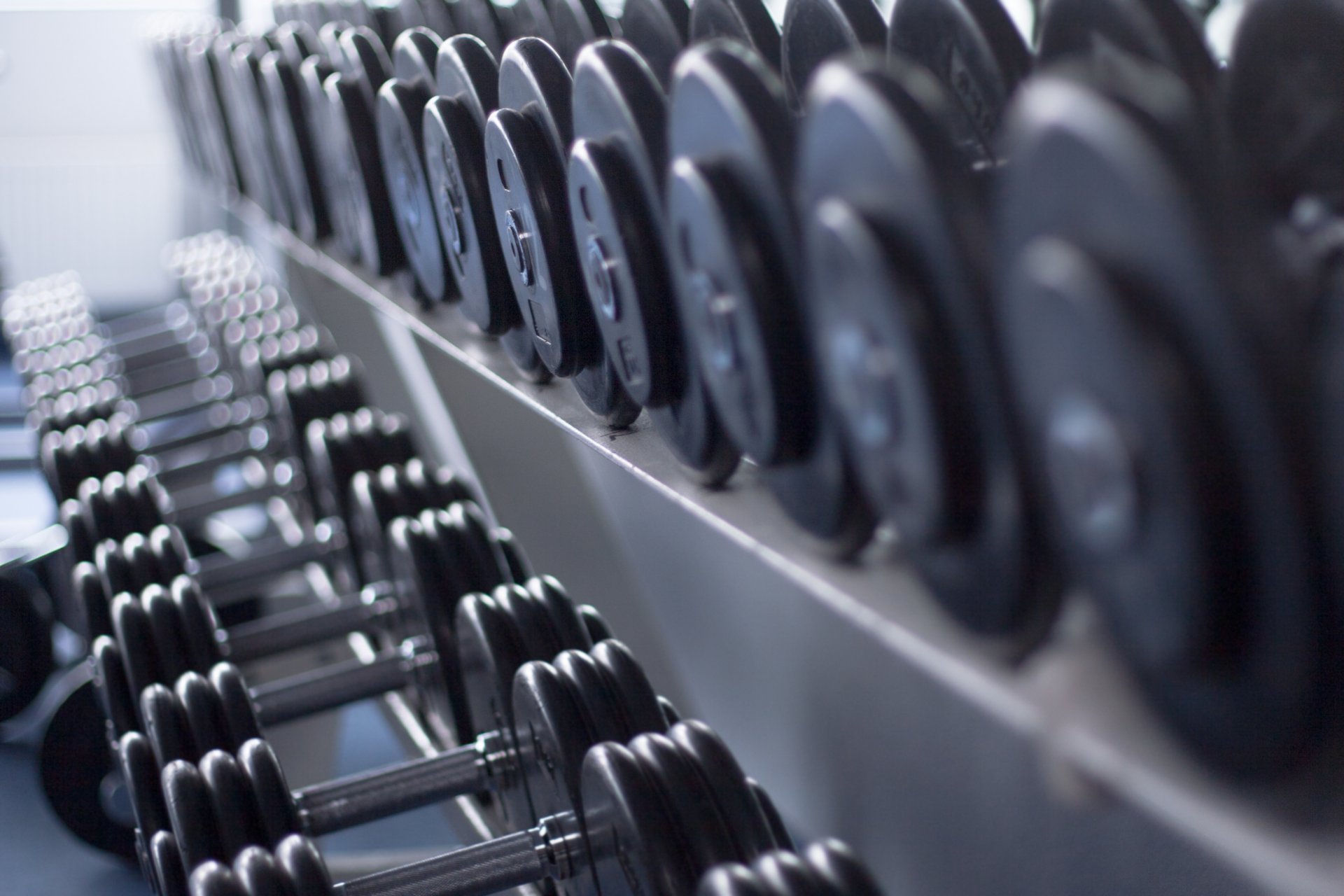 haltères différents poids salle de gym remise en forme