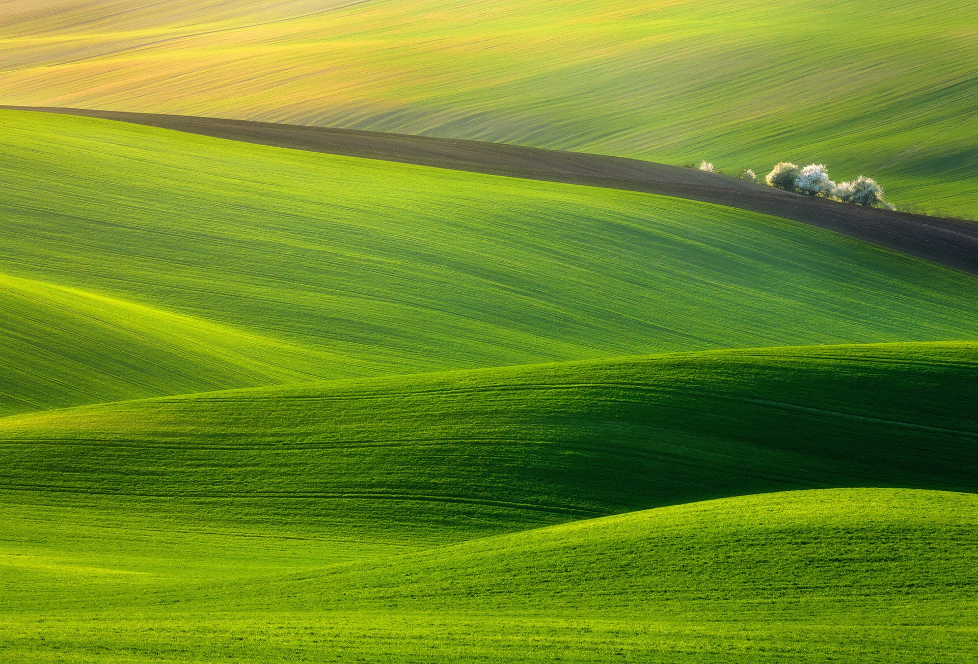 paysage prairie herbe vert nature champ