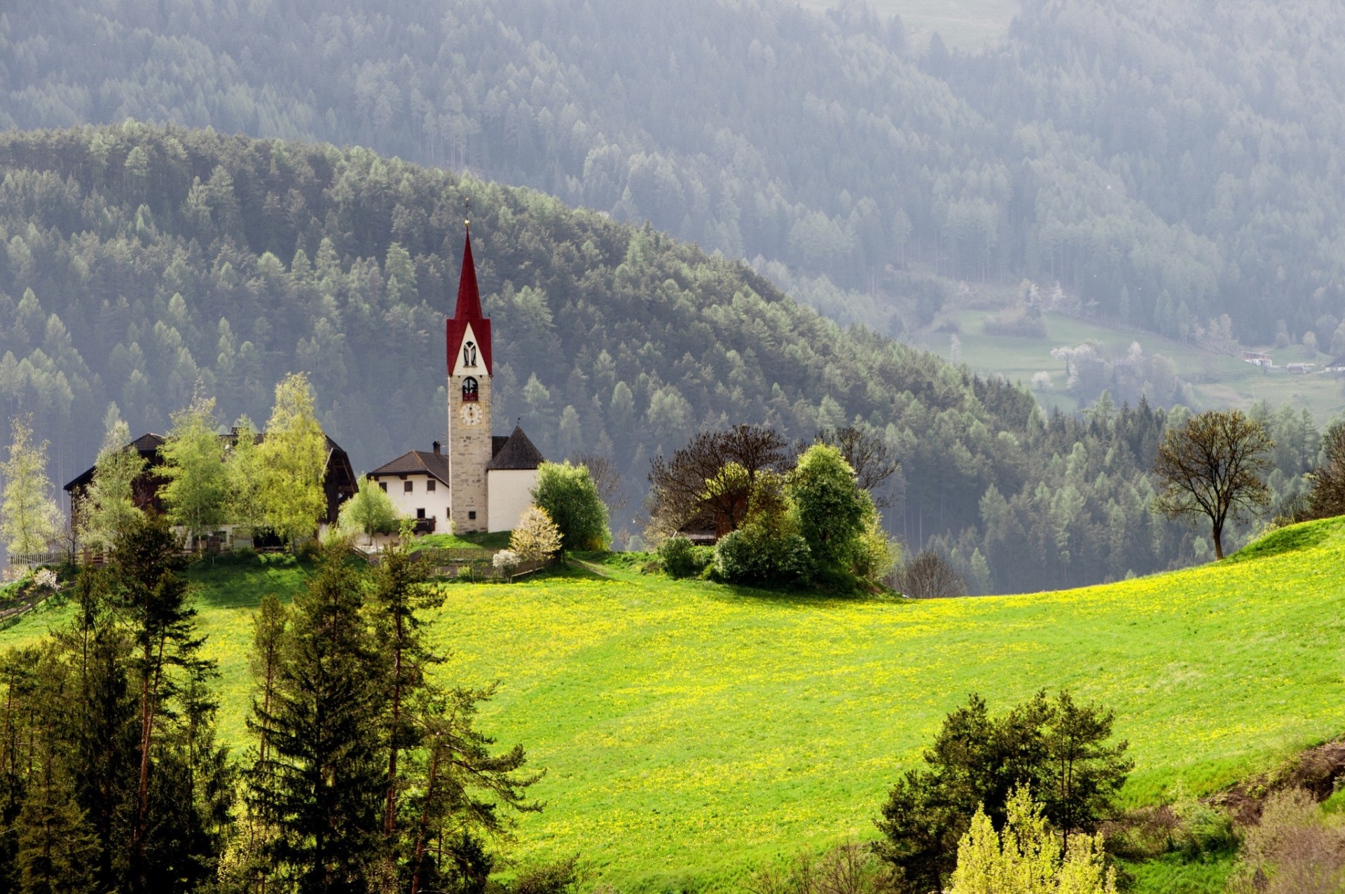 natura trawa las kaplica góry wiosna domy