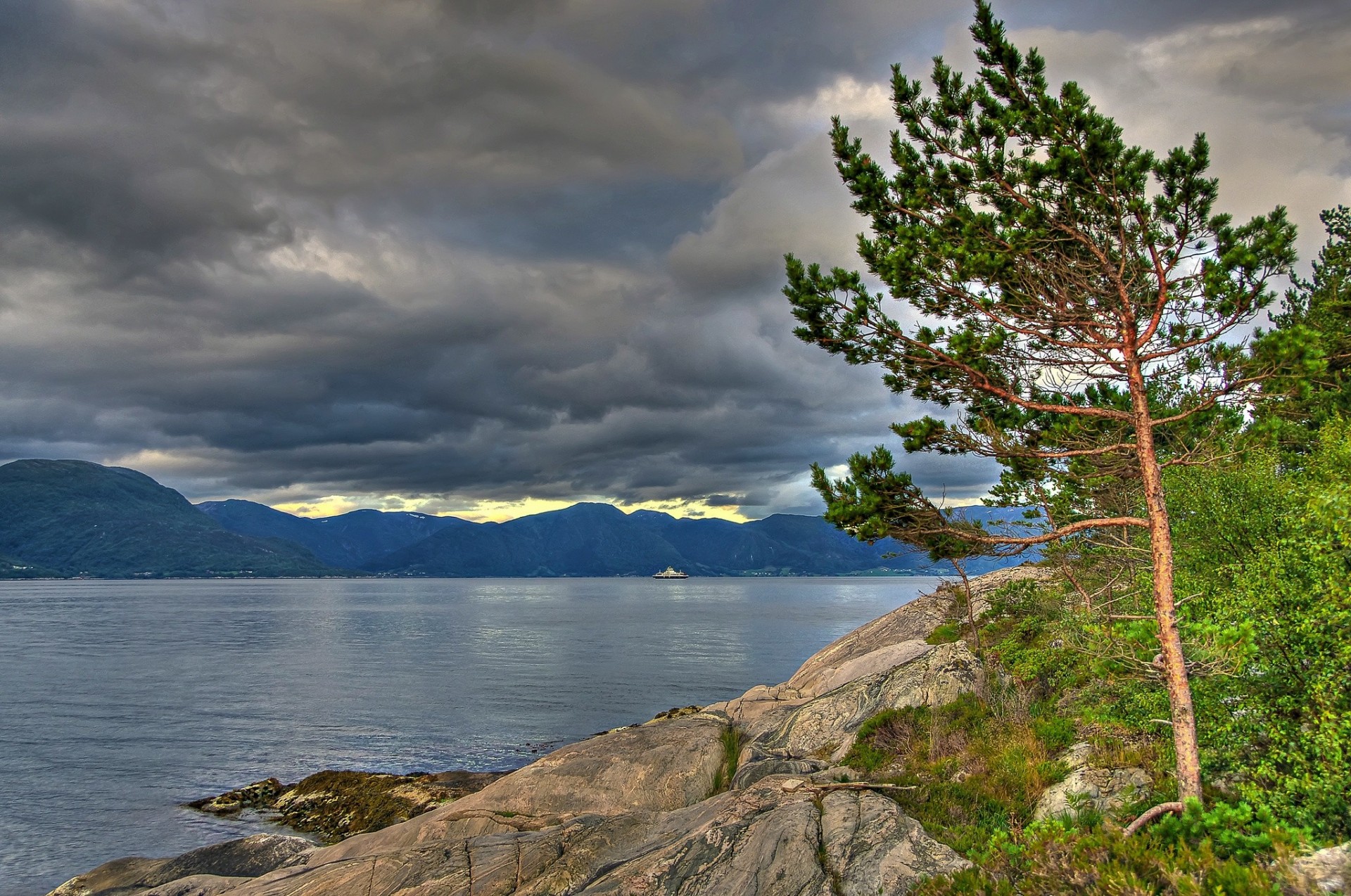 árbol pinos noruega nubes montañas