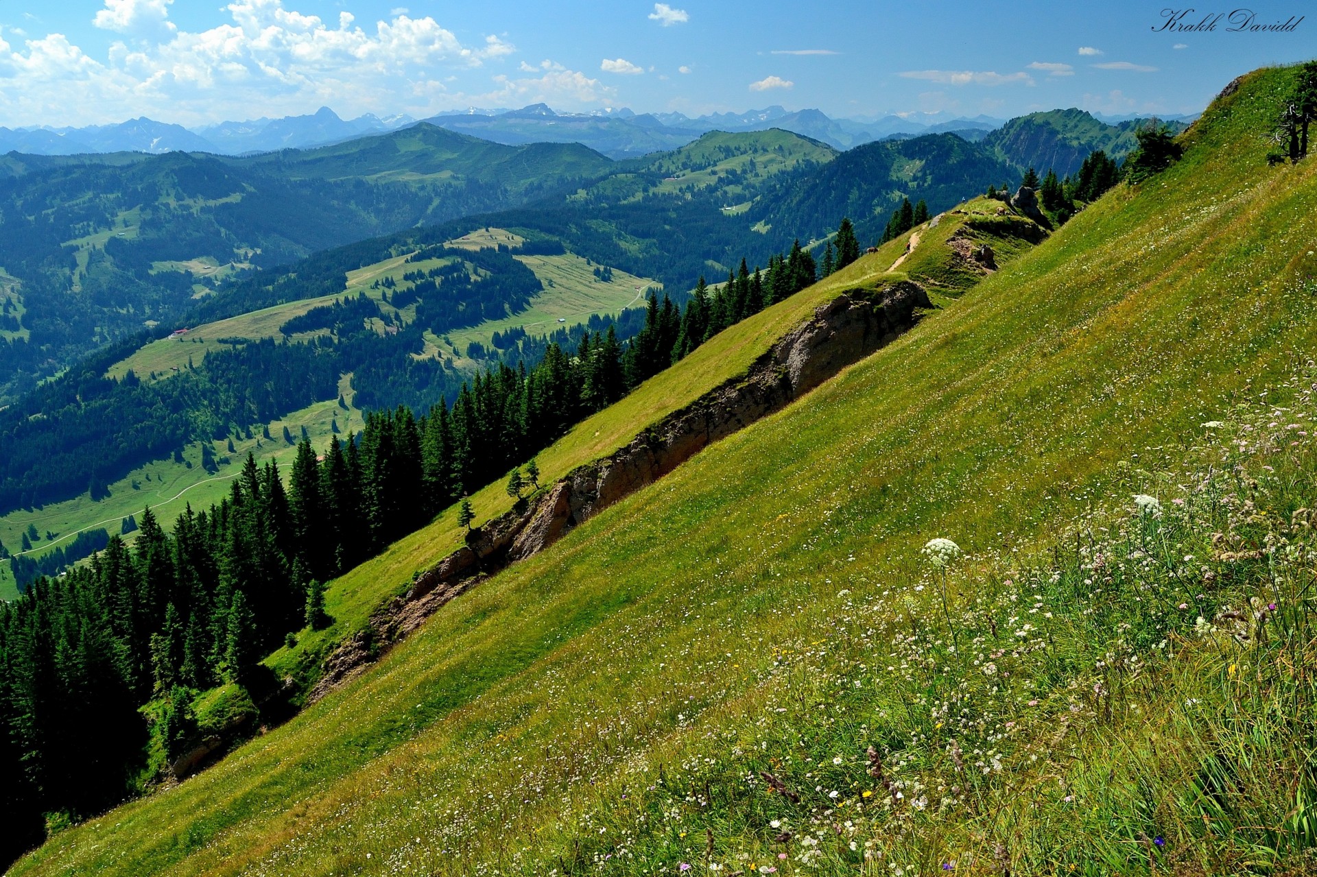 ciel montagnes collines forêt nature