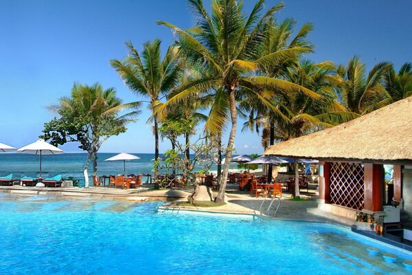 Casa con piscina en Indonesia contra el mar y las palmeras