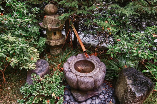 Japanese Garden in Portland