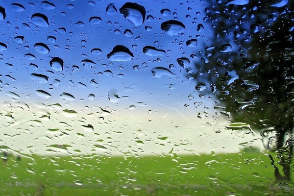 Water drops after rain on the glass