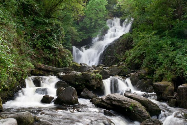 The mesmerizing waterfall of the summer forest