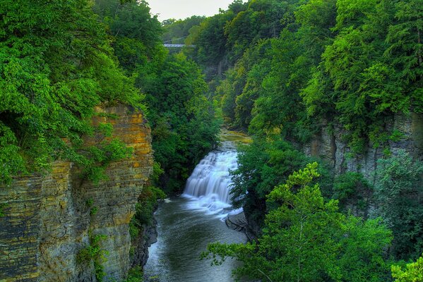 Roches forestières baignées par les rivières