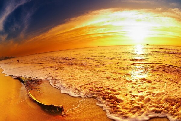 Panorama of the orange sunset and the sea