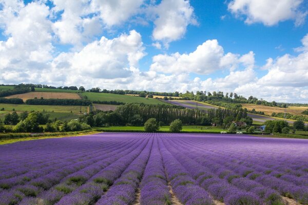 Nuvole lilla in Toscana