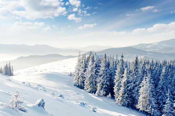 La splendeur blanche et froide de l hiver