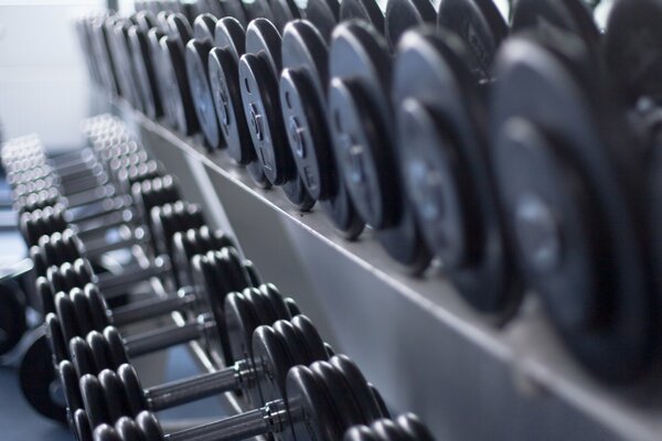 Salle de musculation. Haltères dans une rangée