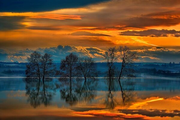 Hermoso bosque de puesta de sol junto al lago