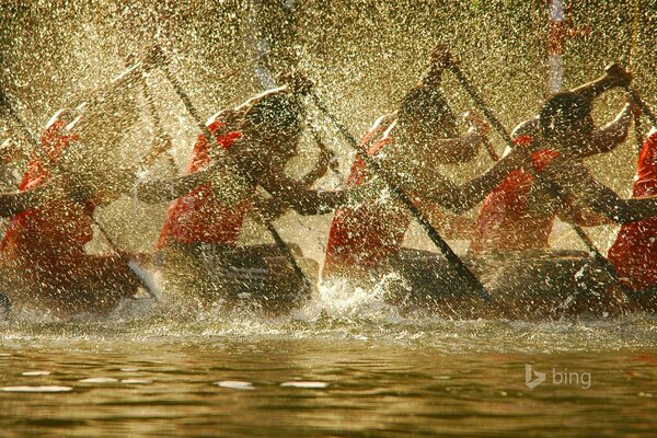 Guys engaged in sports rowing in the rays of the sun