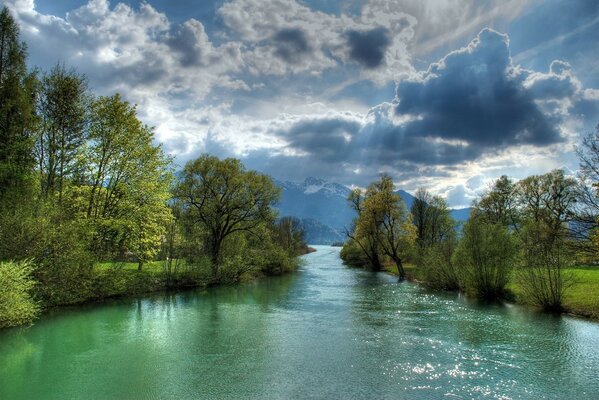 Río rápido entre los árboles verdes