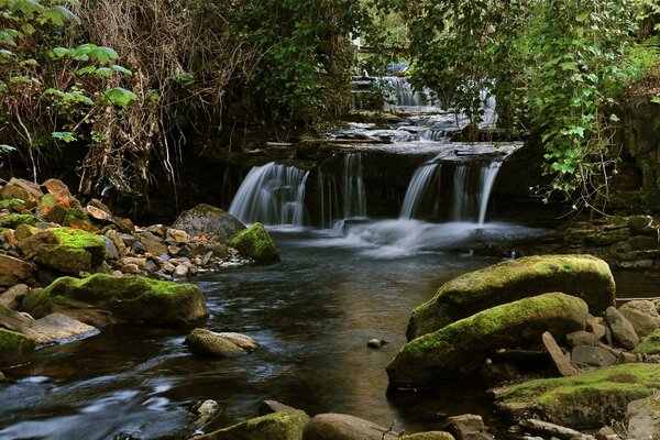 Rocky waterfall among the trees