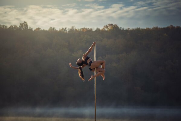 Le gymnaste Chris Silva sur le poteau