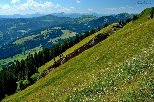 Wiesen an den Hängen der Berge sind die besten Weiden