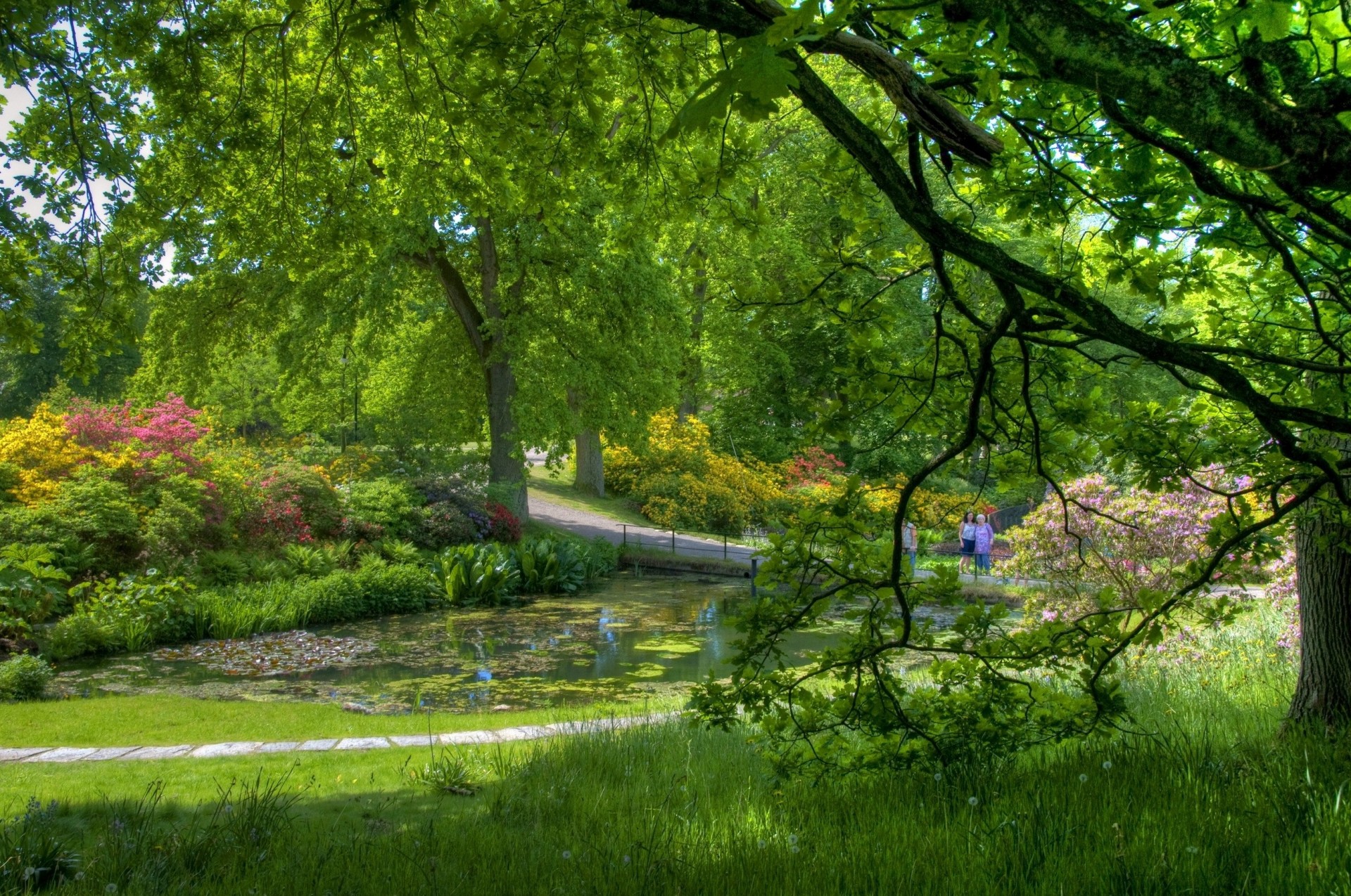 estanque árboles serenidad vegetación jardín personas