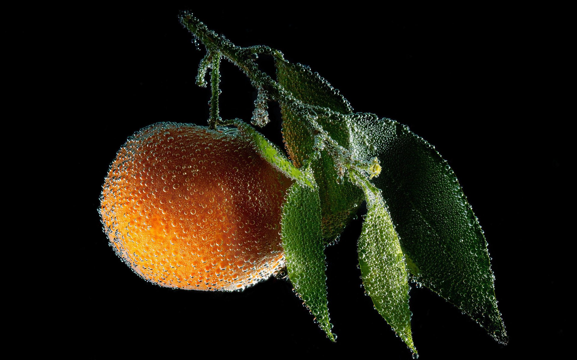 orange water orange bubble