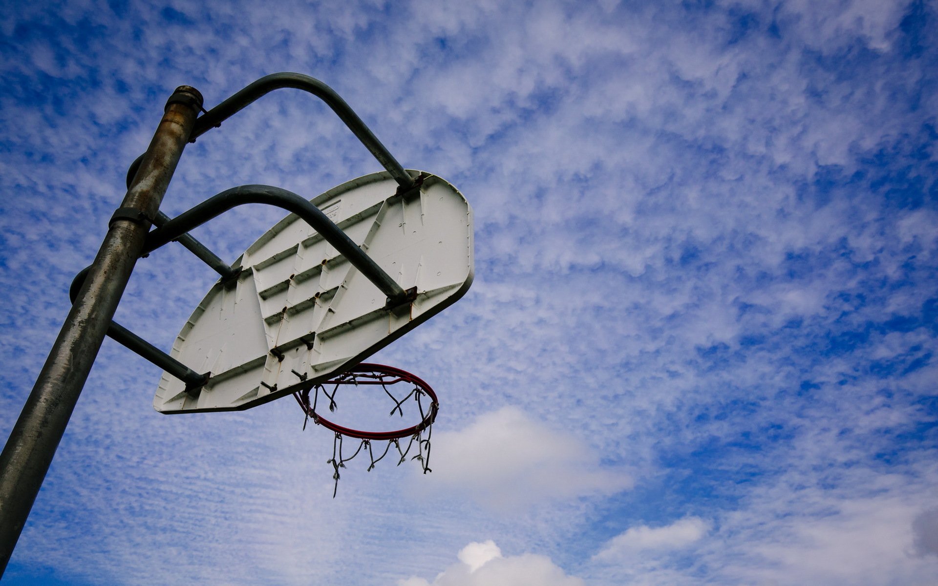 sueños de baloncesto escudo deportes